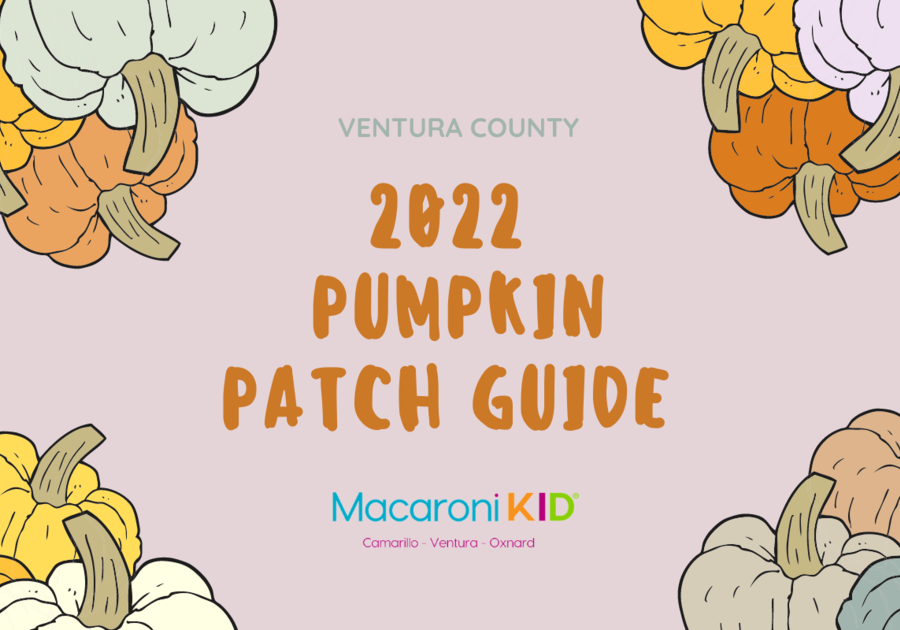 Ventura County Pumpkin Patch Guide, Prancer Pumpkin Patch, Limoneira Pumpkin patch , camarillo, ventura , oxnard , somis,