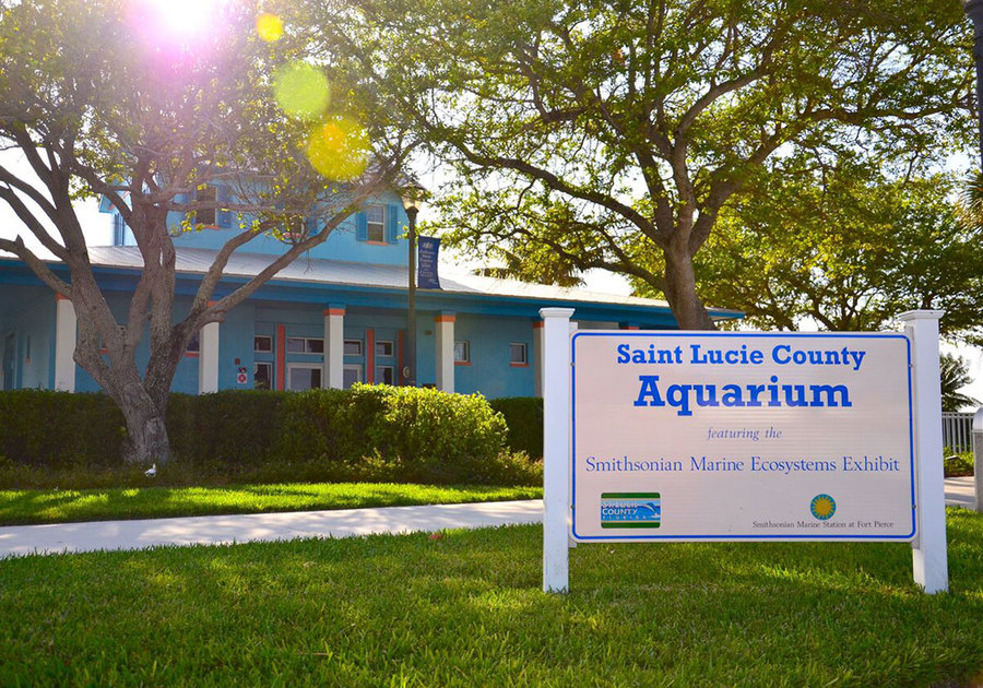 Saint Lucie County Aquarium at the Smithsonian Marine Ecosystems Exhibit