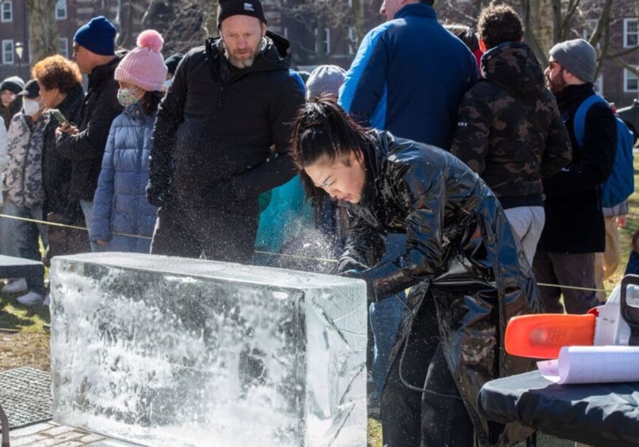 Governor's Island Ice Sculpture show