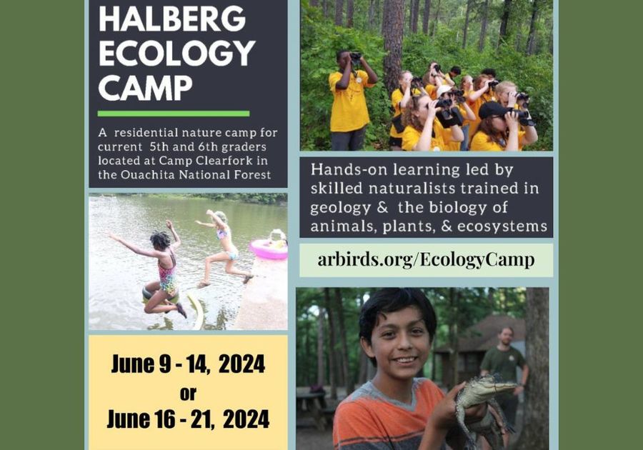 Halberg Ecology Camp Thumbnail