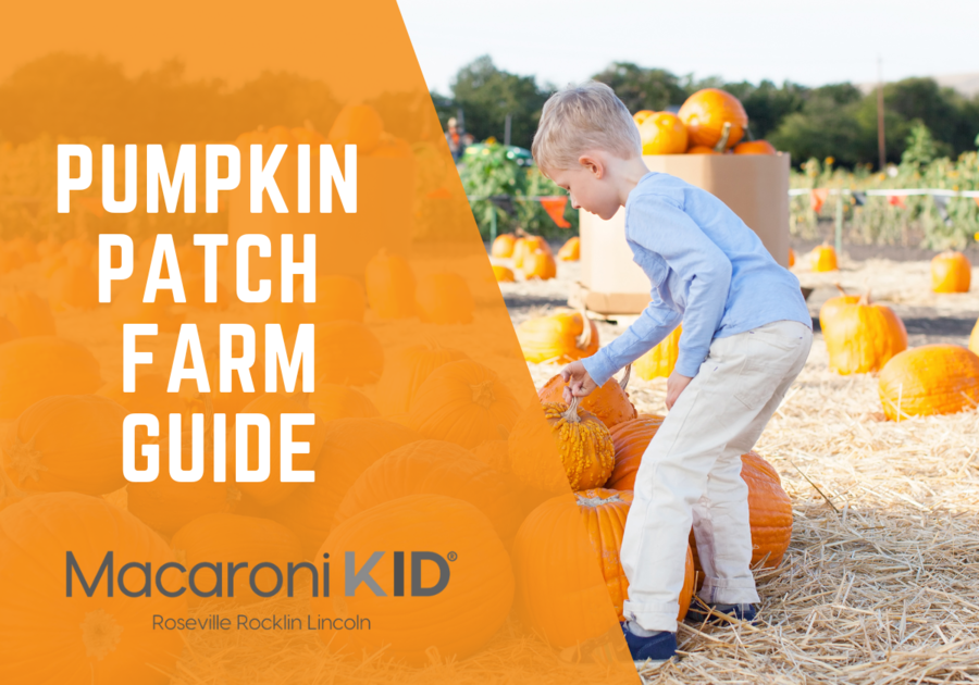 Pumpkin Patch Farms in Roseville, Rocklin, Lincoln, CA