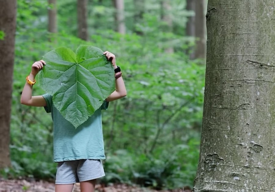 child holding large leaf