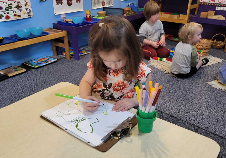 Preschool student coloring butterfly
