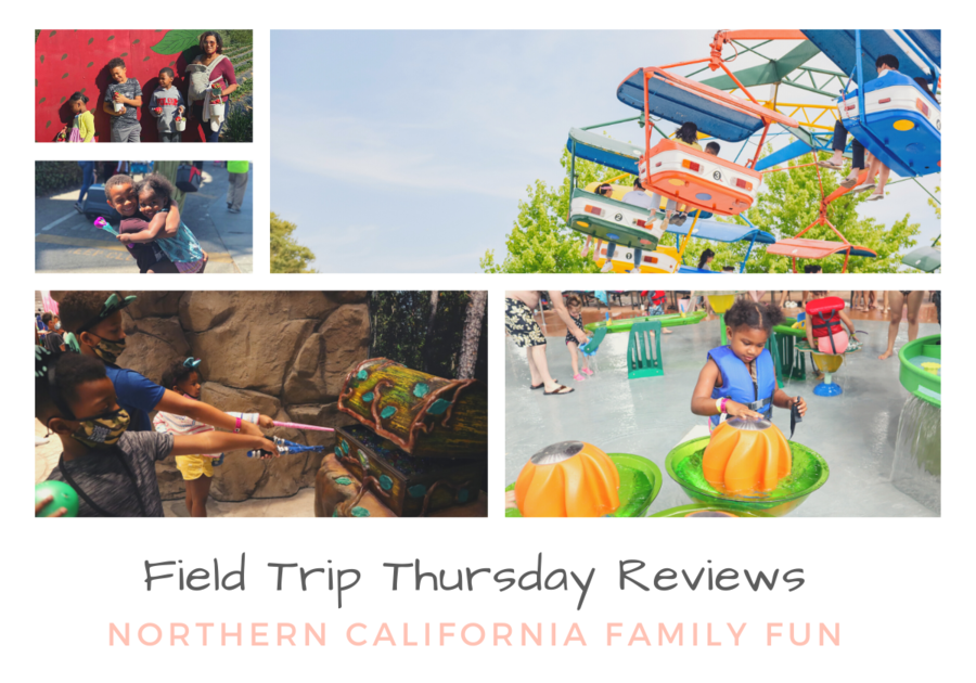Field Trip Thursday - Northern California Day Trips from Folsom