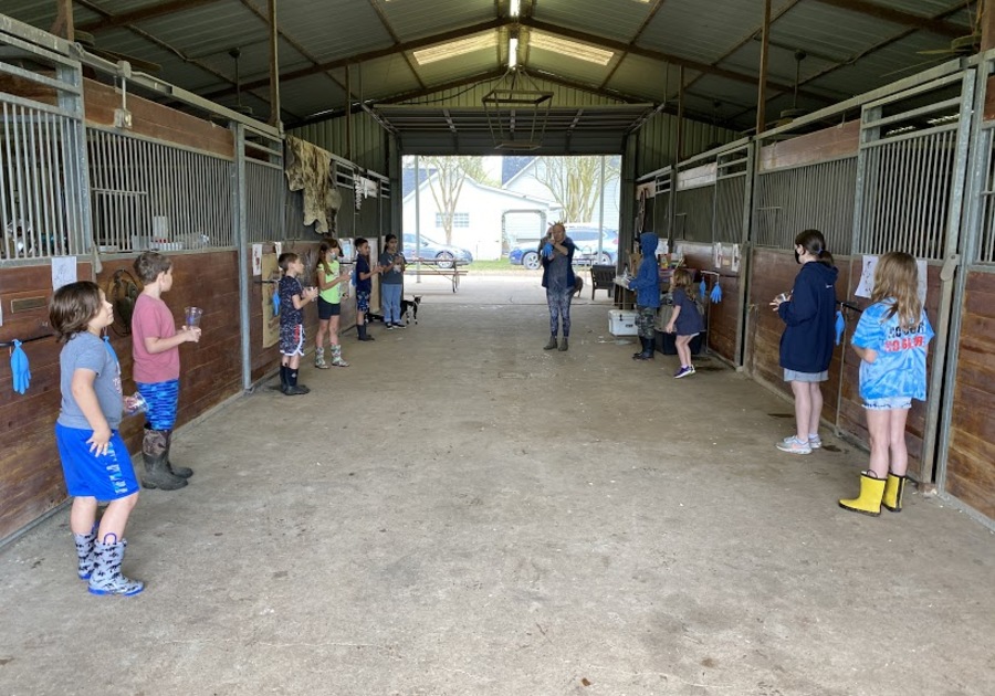 Rose Therapeutic Farm and Goat Yoga Katy Texas