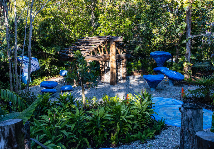 Fairy Forest and Blue Mushrooms 