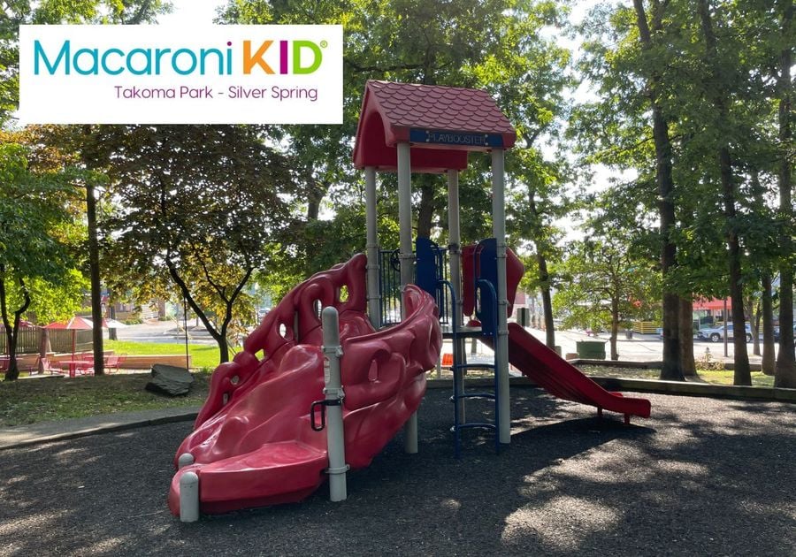 photo of playground structure at Flower Avenue Playground