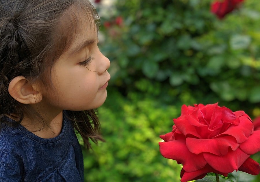 Girl smelling red rose