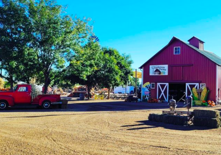 2023 Anderson Farms Fall Festival Details, Plus ENTER to WIN!