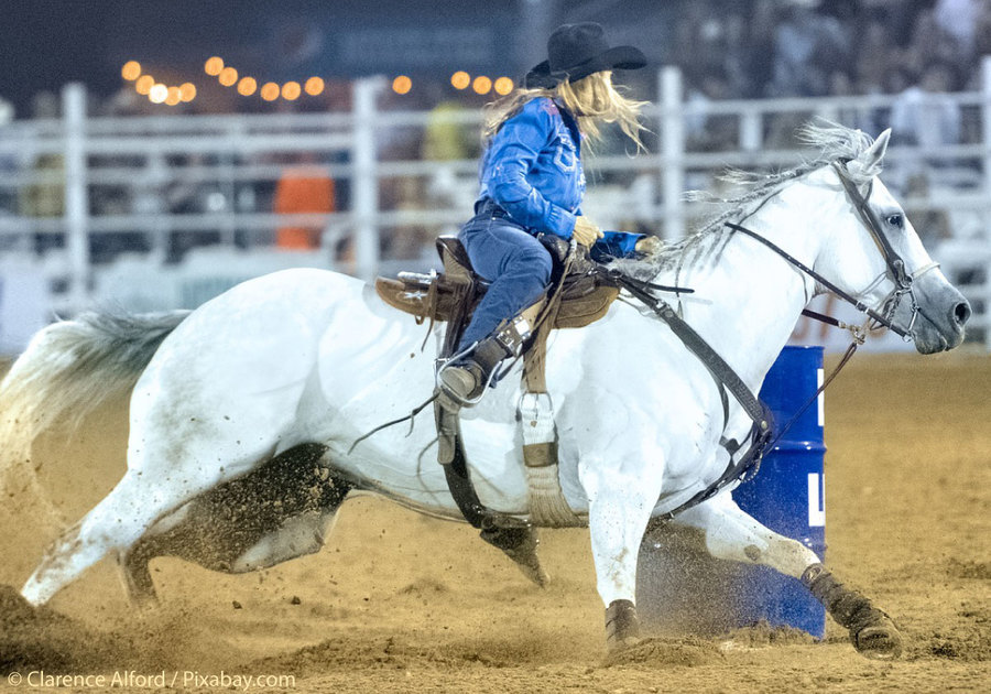 Woman on Horse, Barrel Racer at Rodeo