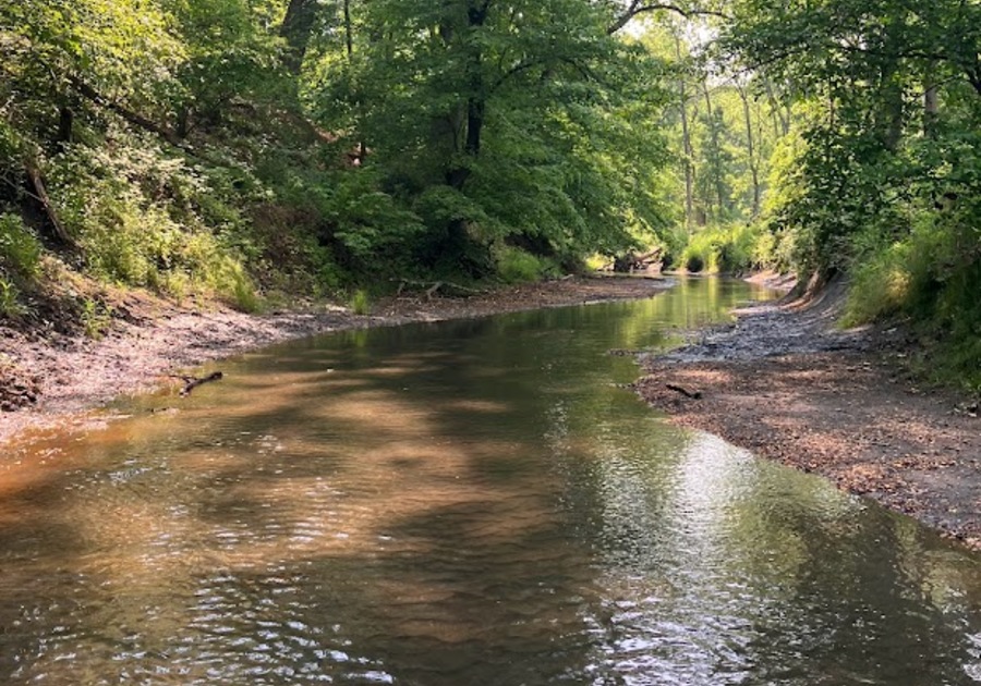 View of Big Brook with low water level. Gravel beds on both sides and tall green trees in the background.