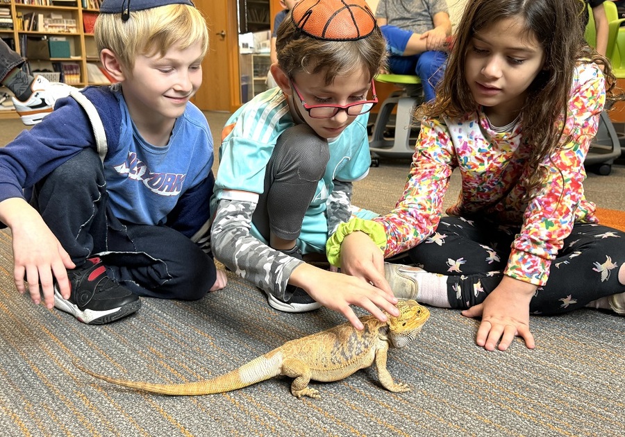 three kids playing with a lizard