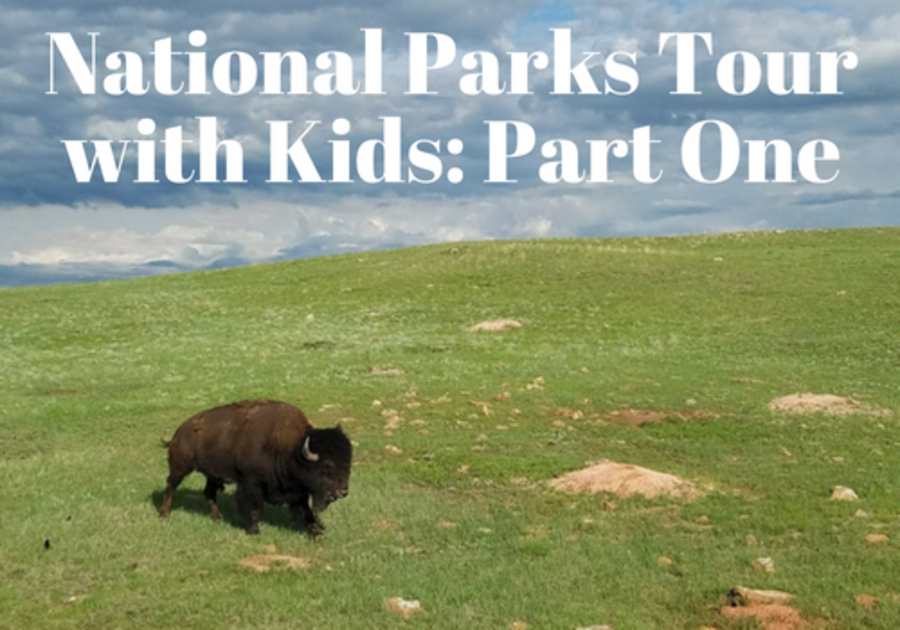 Epic National Parks Tour and Road Trip with Kids:  Part One