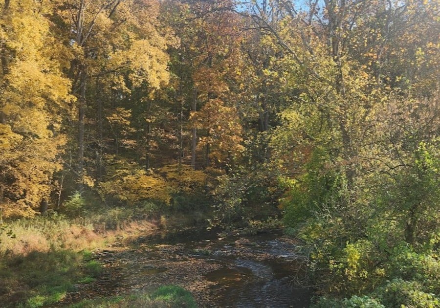 auburn valley state park fall foilage