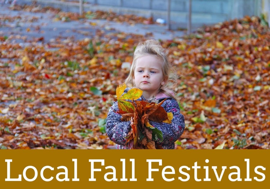 🍁Fall Festivals in and around McDonough, Stockbridge, and Griffin ...