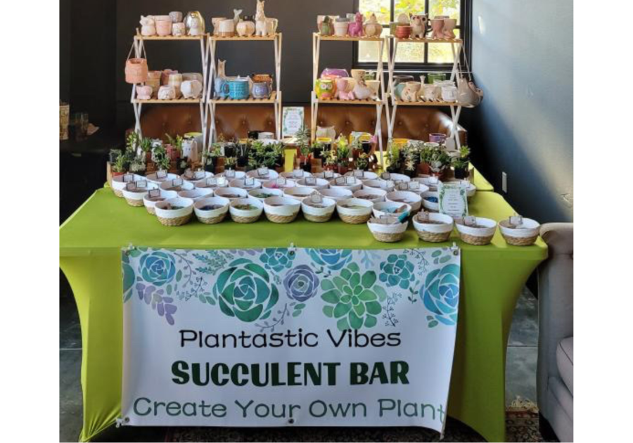 Succulent Bar