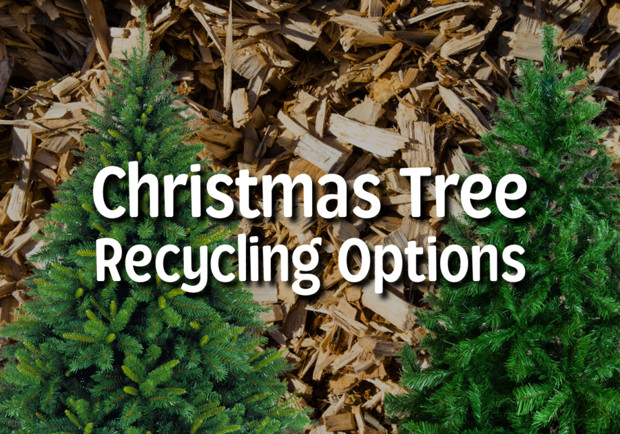 Christmas Tree Recycling Options in Broome County Binghamton