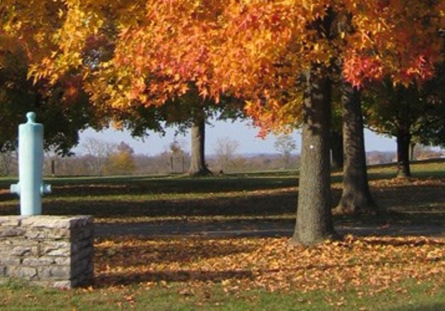West-Woods in Autumn and Antietam Battlefield.
