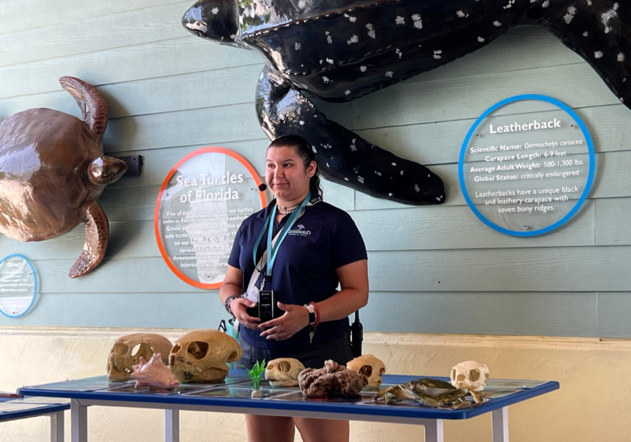 Tour Guide at Loggerhead Marinelife Center