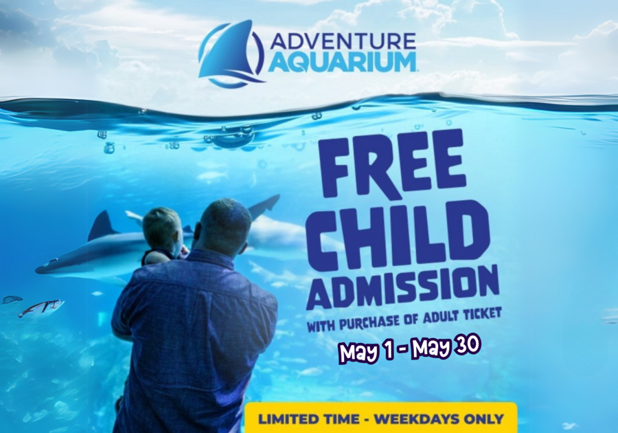 Adventure Aquarium BOGO Deal