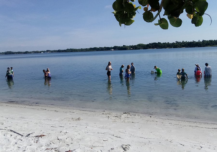 Hobe Sound Nature Center summer camp - students in the water on a beach