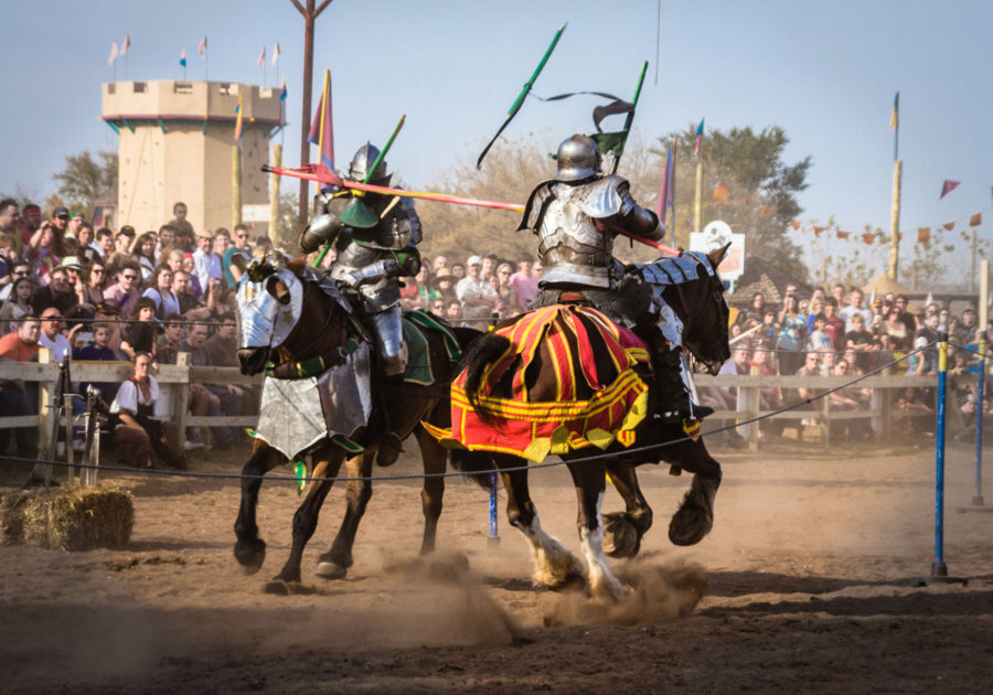 MN Renaissance Festival