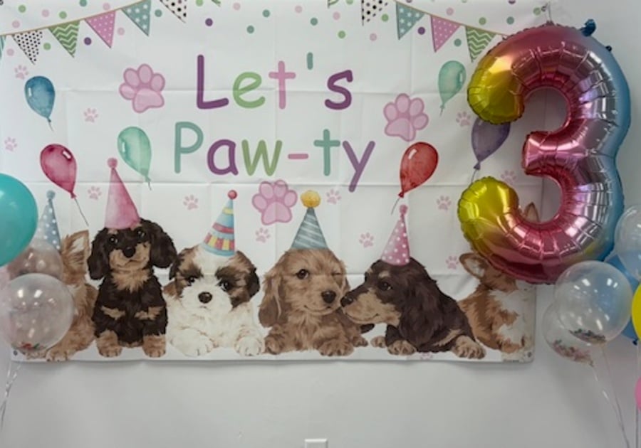 Party decorations at Jungle Jamz Play Cafe birthday party toddler birthday party decorations balloons Let's Pawty banner