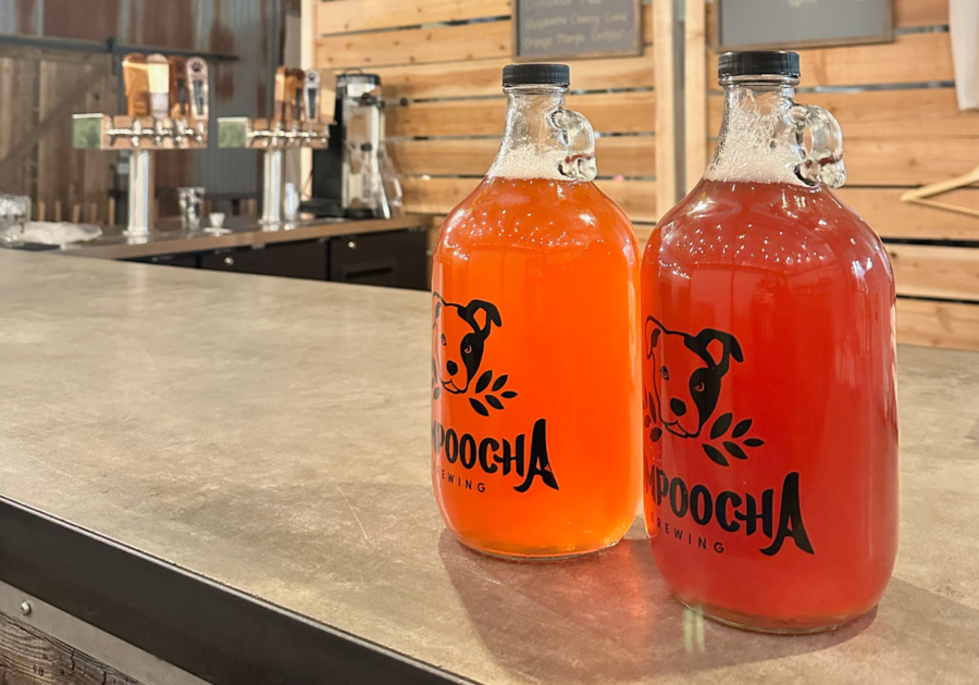 Kombucha Brewery Temecula Rescues Growlers