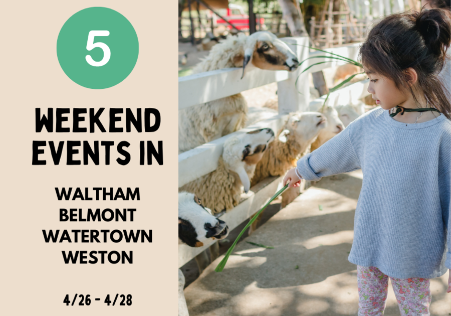 A picture of a girl petting a sheep at an outdoor fair