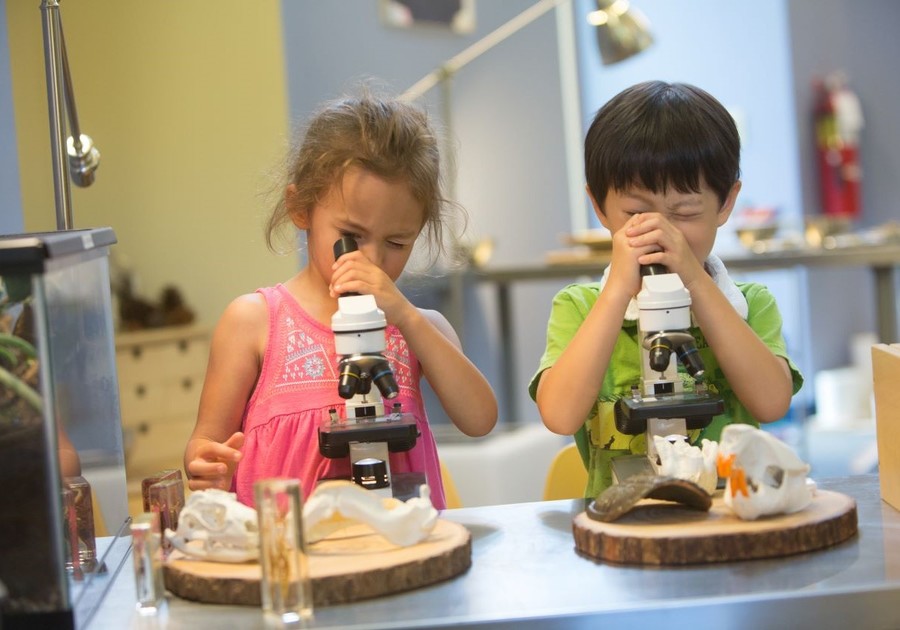 two preschoolers looking through microscopes