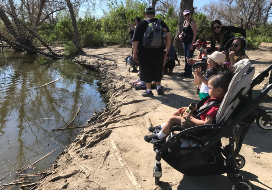 Free Guided Walking Tour Sepulveda Basin