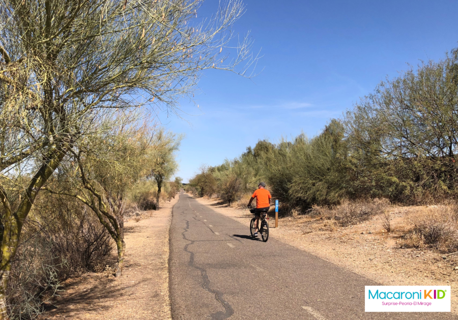 Man cycling on bike path in the desert