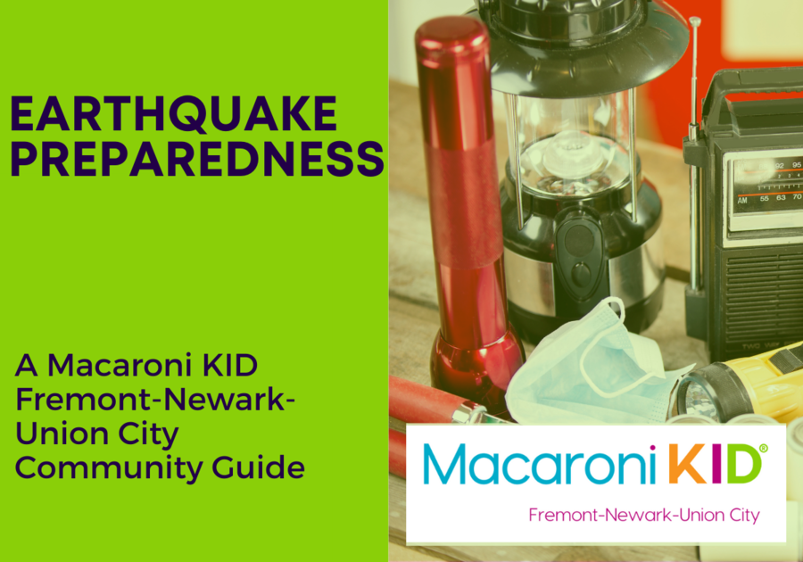 Earthquake Preparedness Guide