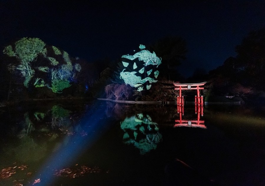 Brooklyn Botanic Garden Lightscape