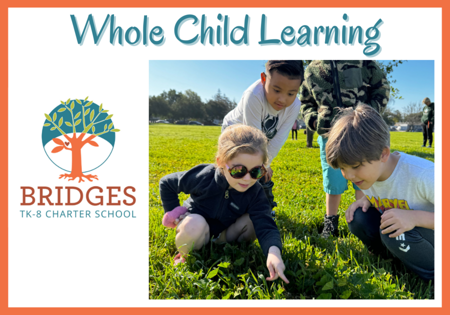 Whole Child Learning at Bridges TK-8 Charter School, School logo with a tree and photos of young kids exploring the grass as they discover something interesting