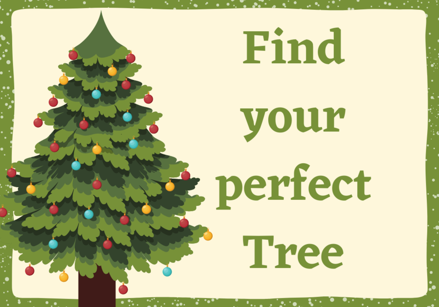 Find your perfect tree