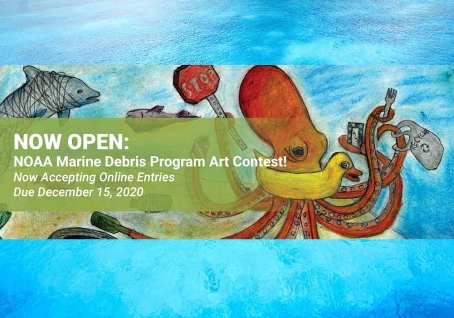NOAA Marine Debris Program Art Contest