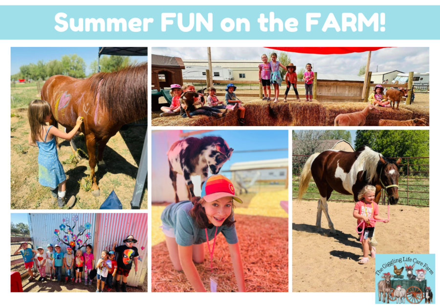 Giggling Life Summer on the Farm