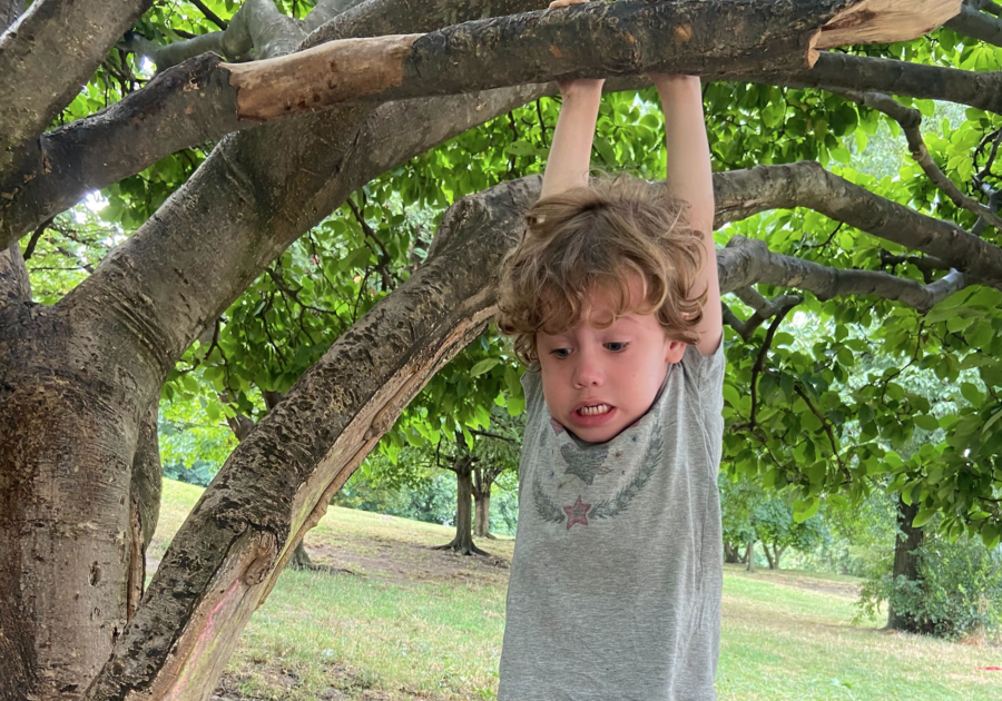 Brooklyn Nature Days