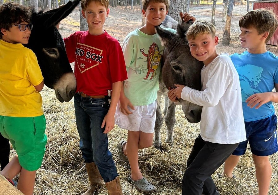 group of boy campers hugging horses