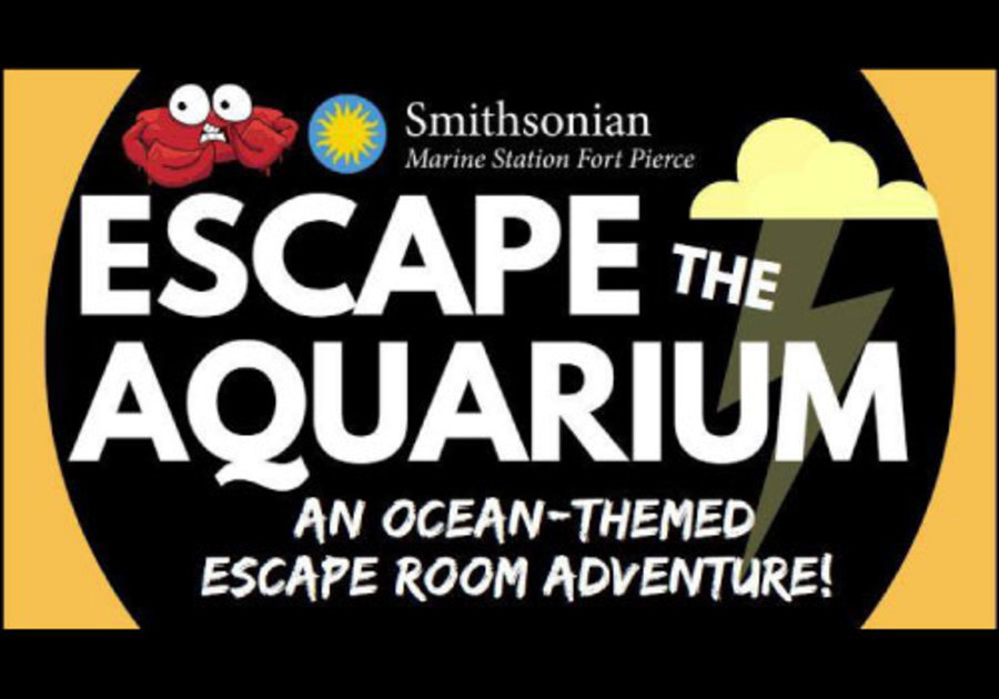 Escape the Aquarium at the Smithsonian Marine Station