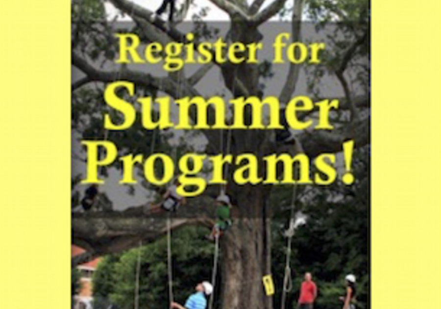 City of Roswell Recreation & Parks Summer Camps & Classes Macaroni