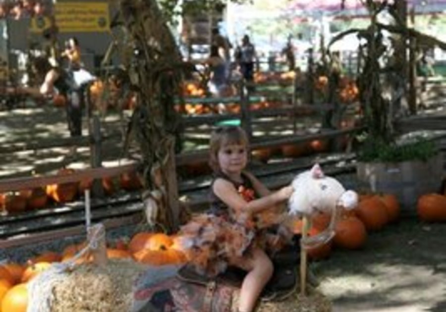 Irvine Park Railroad’s 7th Annual Pumpkin Patch Macaroni Kid Chino