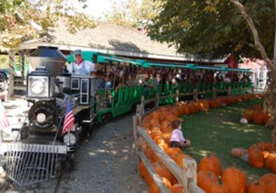 Irvine Park Railroad’s 9th Annual Pumpkin Patch Macaroni KID Chino