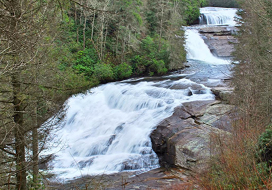 Dupont Forest Hiking Biking On The Set Of The Hunger Games Macaroni Kid Hickory Western Piedmont