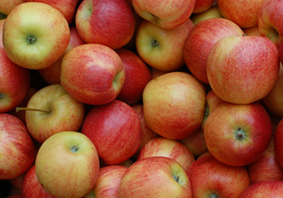 Golden Delicious Apples Information and Facts