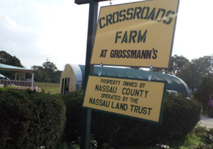 Crossroads Farms at Grossman's | Macaroni KID Long Beach - Oceanside - Rockville Centre
