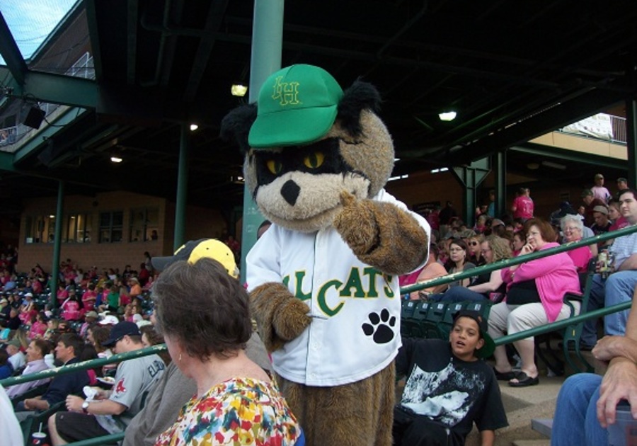 Lynchburg Hillcats introduce new mascot