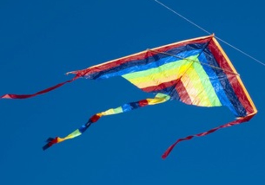 Как переводится fly a kite