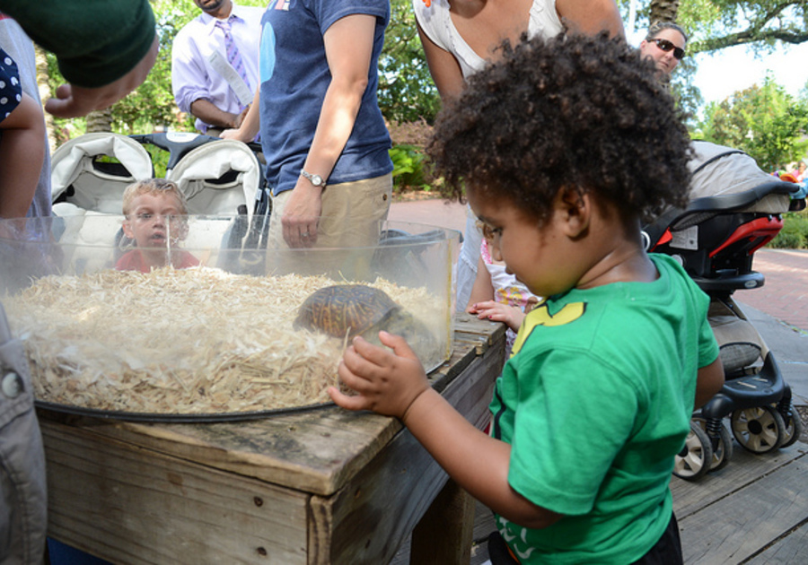 ZOObilation at Audubon Zoo for Members Macaroni KID New Orleans